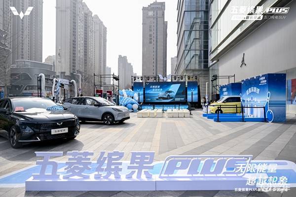 510km的长续航 五菱缤果PLUS年轻人的首选